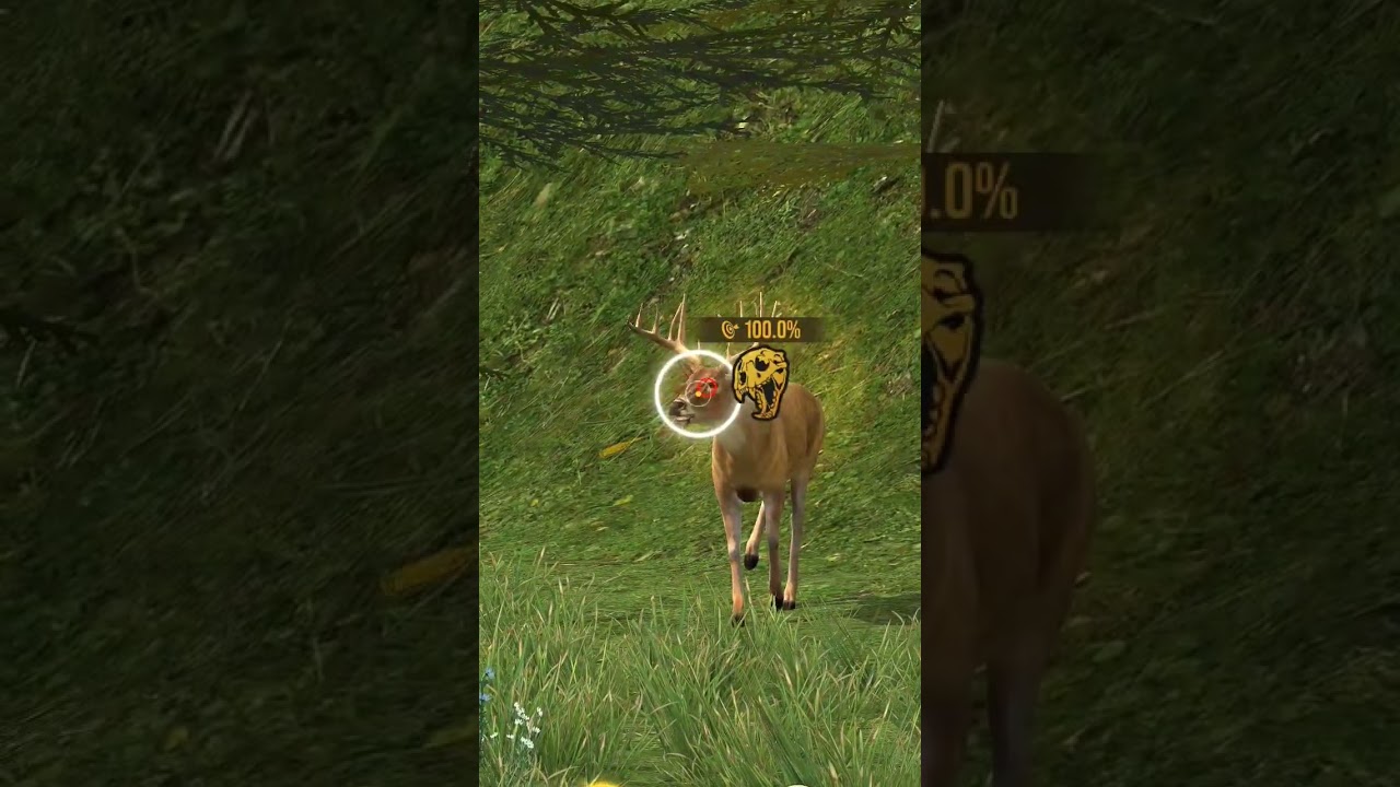 Game hunting Battle challenge 