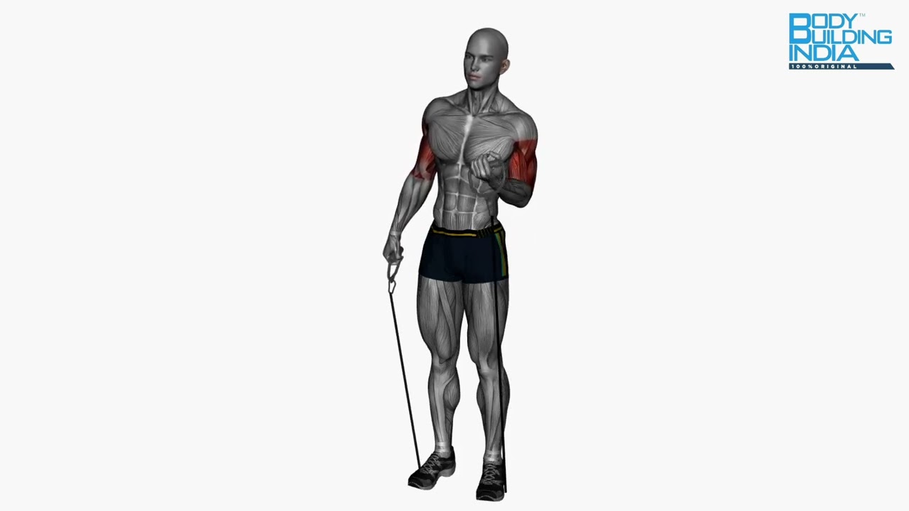 Biceps Workout | Exercise 1 | Alternate Biceps Curl Resistance Band| Bodybuilding India