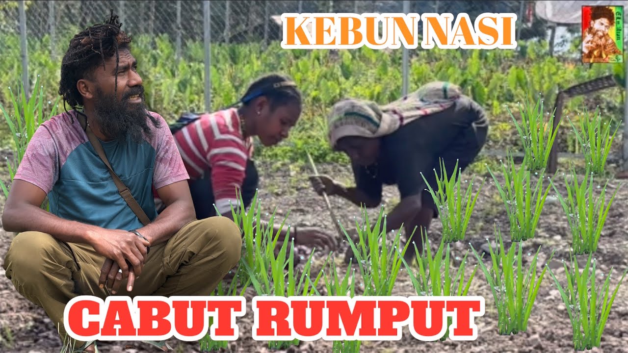 Eps.737 MINCE & MAMA JEFRI BERSIHKAN RUMPUT