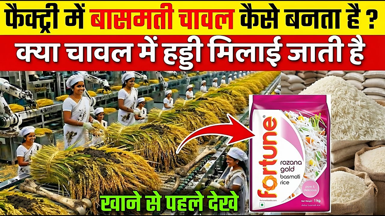 फैक्ट्री में बासमती चावल कैसे बनता है ? | How Basmati Rice Is Made | Basmati Rice Factory