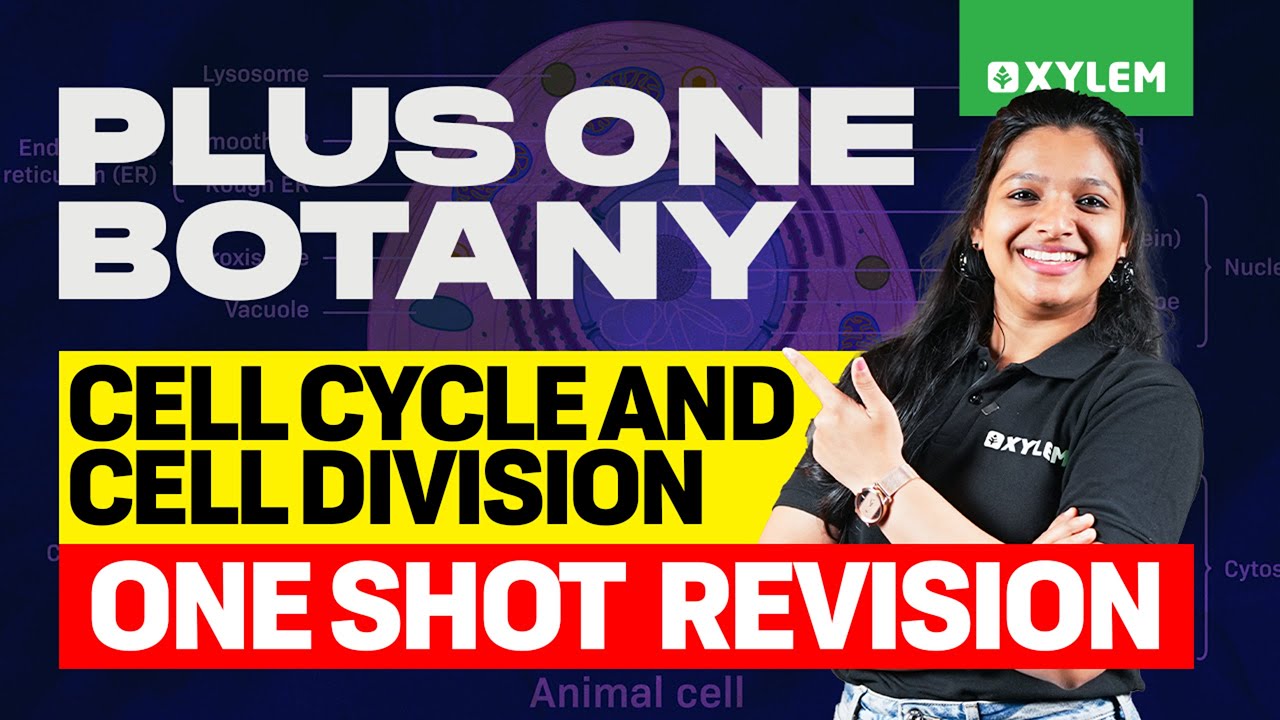 Plus One Botany | Cell Cycle And Cell Division - One Shot Revision | Xylem Plus One