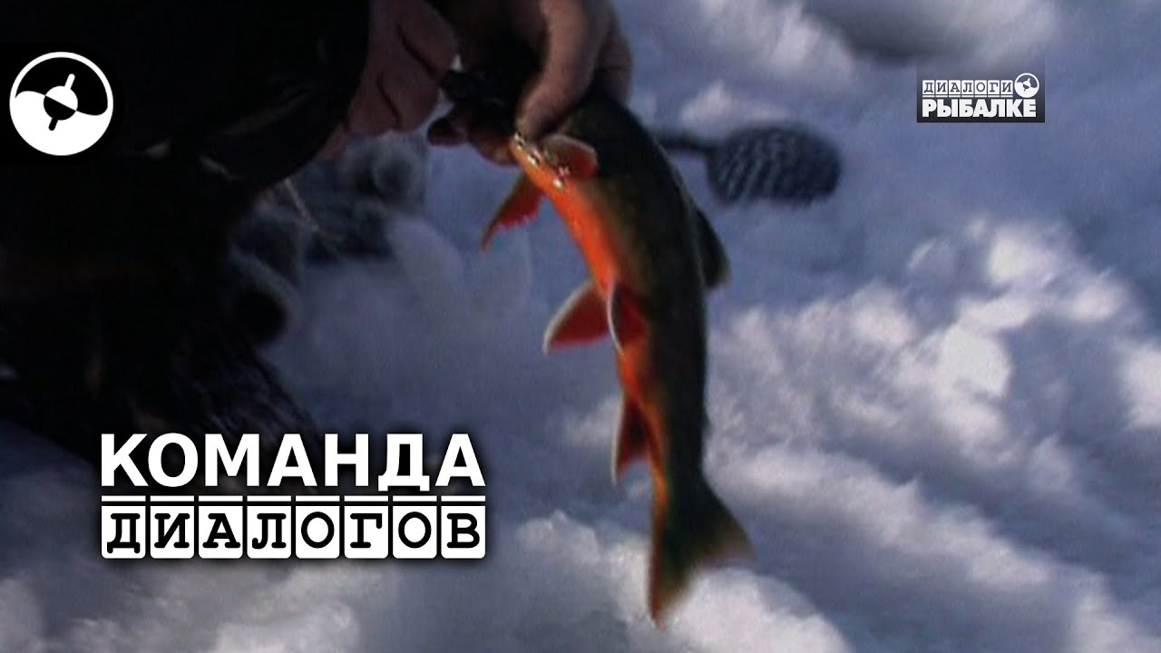 Голец. Камчатка. Зима | Классика
