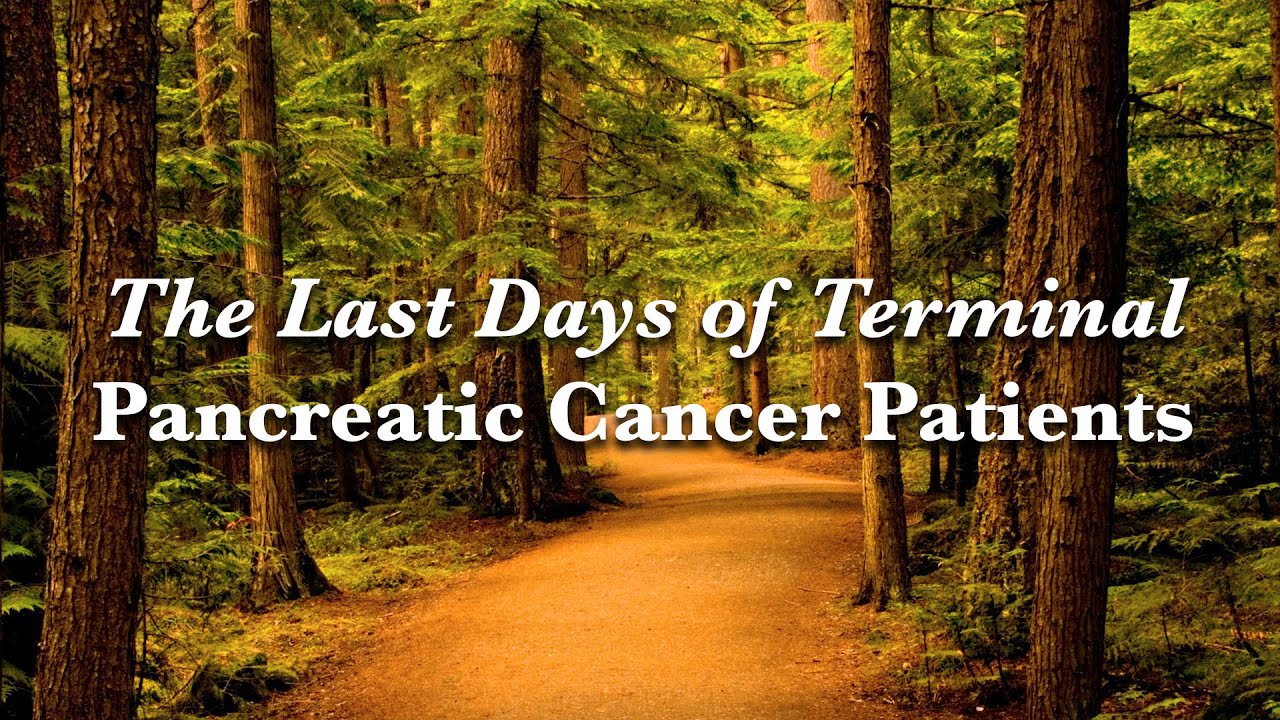 LAST DAYS OF TERMINALLY ILL PANCREATIC CANCER PATIENTS