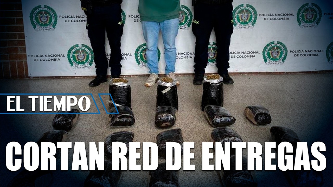 Operativo en San Cristóbal: cae cultivo hidropónico y red de entregas | EL TIEMPO