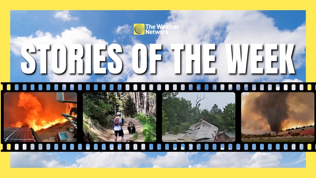 Top weather stories of the week - July 26-31, 2026  | #compilation