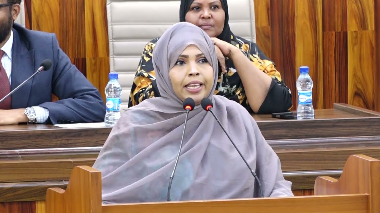 Xildhibaannada Golaha Shacabka ee BJFS ayaa maanta ansixiyay Hindise-Sharciyeedka Daawada.
