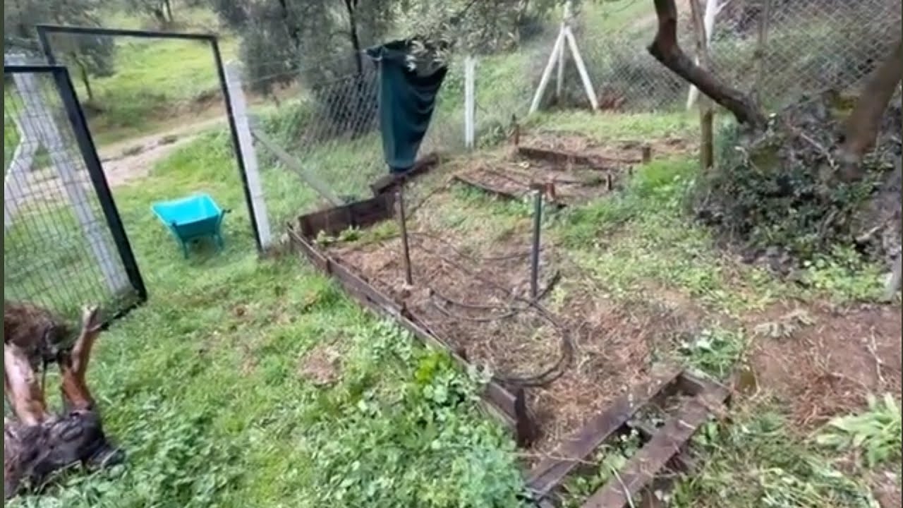 Sebze Bahçesinde Gezinmek | Kerametli Robinson Günlükleri