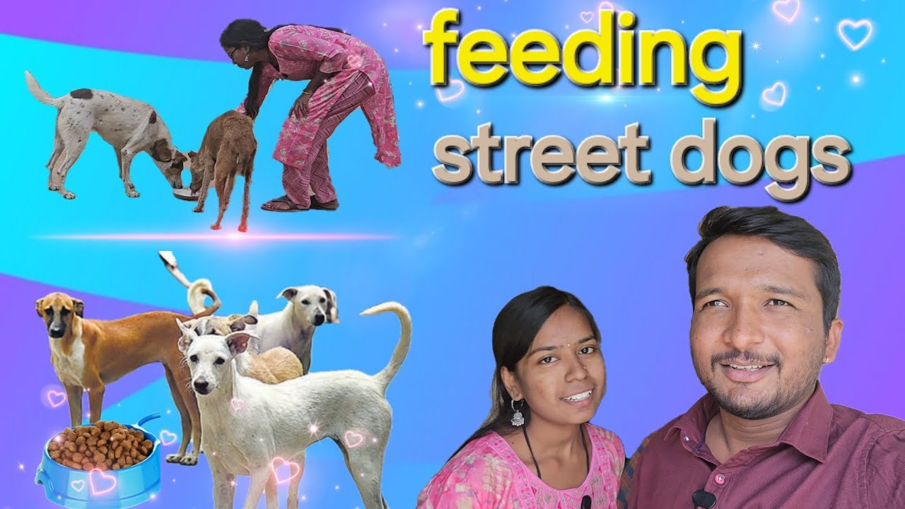 feeding street dogs ||mr&mrs Sai || vlog video || keep supporting..