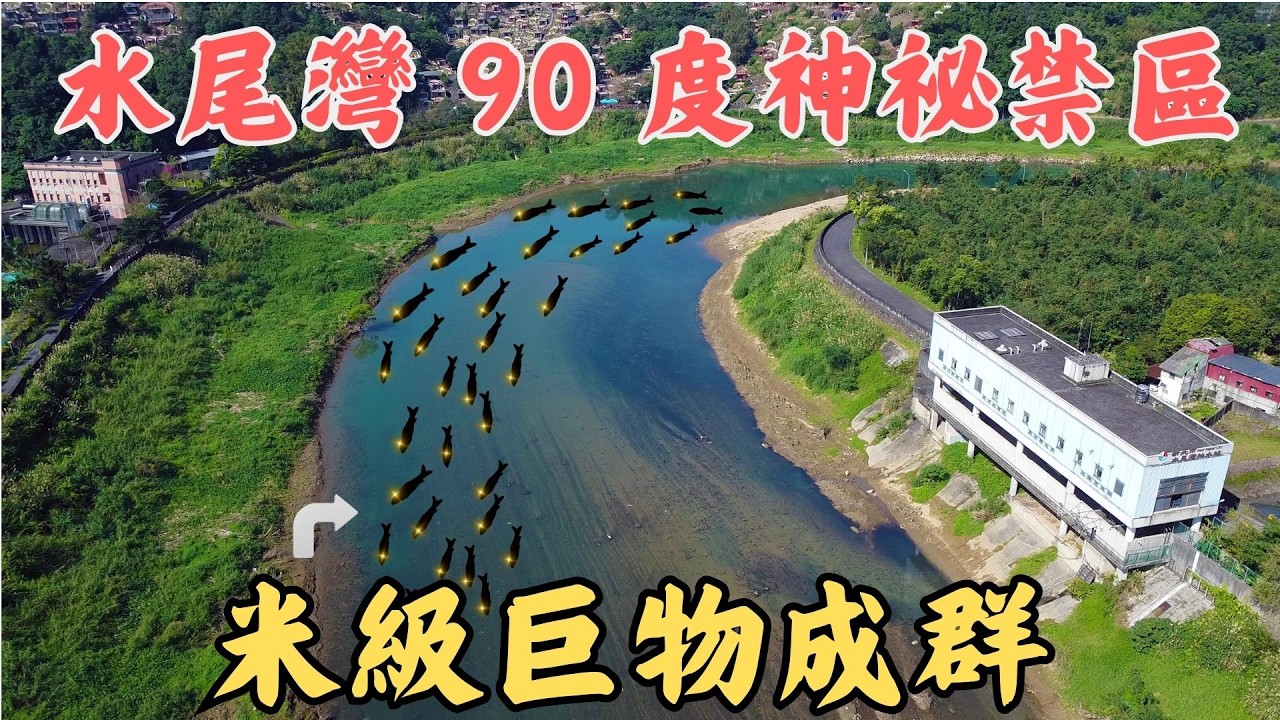 🔥【直擊】城市竟藏這種怪物？😱 「米級巨獸軍團」如黑坦克過境，這拉力太扯!🔥｜Maxcatch｜台興牌涉水褲｜飛釣｜#flyfishing #fishing #fishinglife