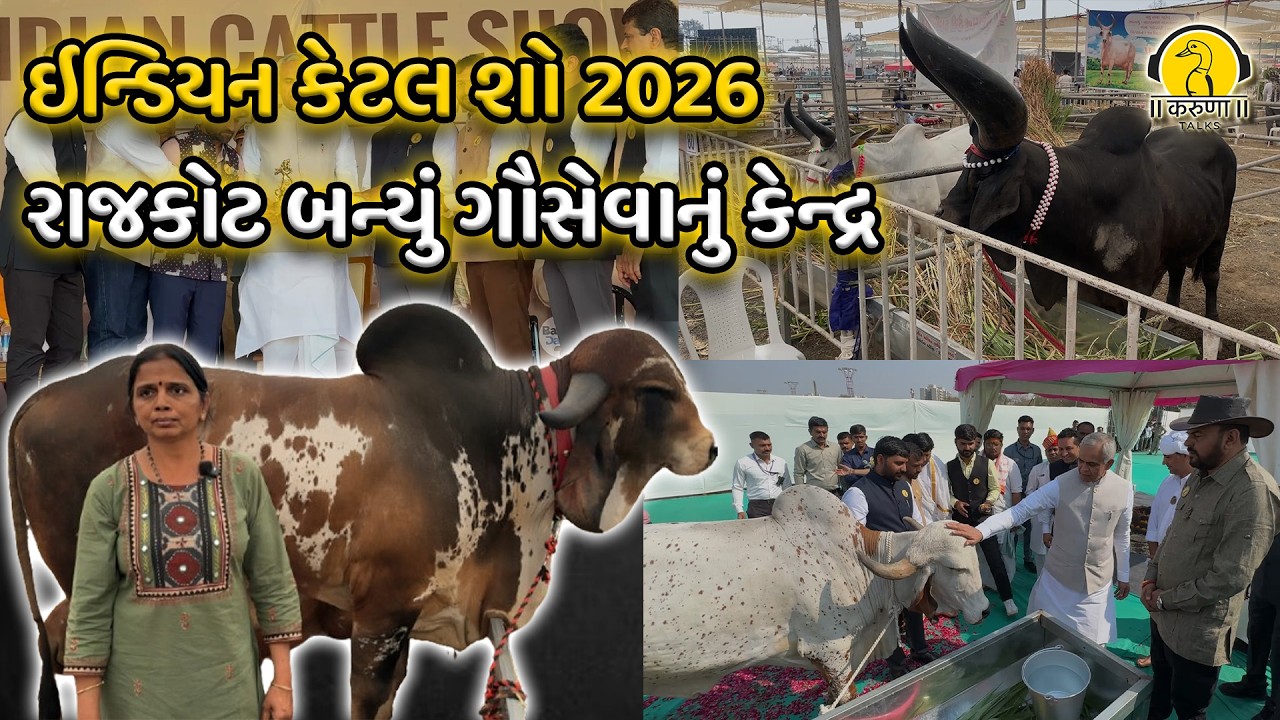 ઇન્ડિયન કેટલ શો 2026 રાજકોટ બન્યું ગૌસેવાનું કેન્દ્ર | KARUNA TALKS