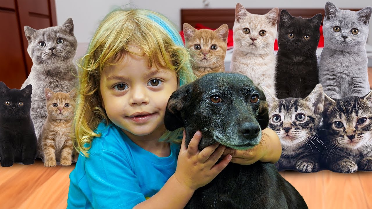 LUKE GANHOU UM NOVO PET !!!