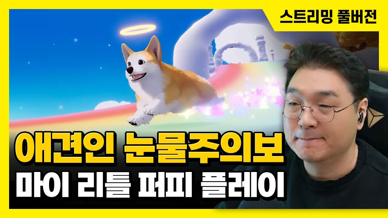 2025/12/18 먼저 간 우리 강아지가 나를 마중 나온다, 마이리틀퍼피 플레이