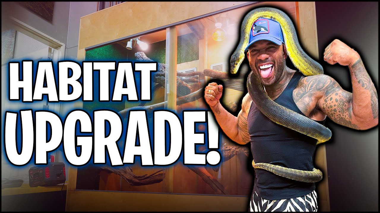 SCRUB PYTHON HABITAT UPGRADE | THE REAL TARZANN