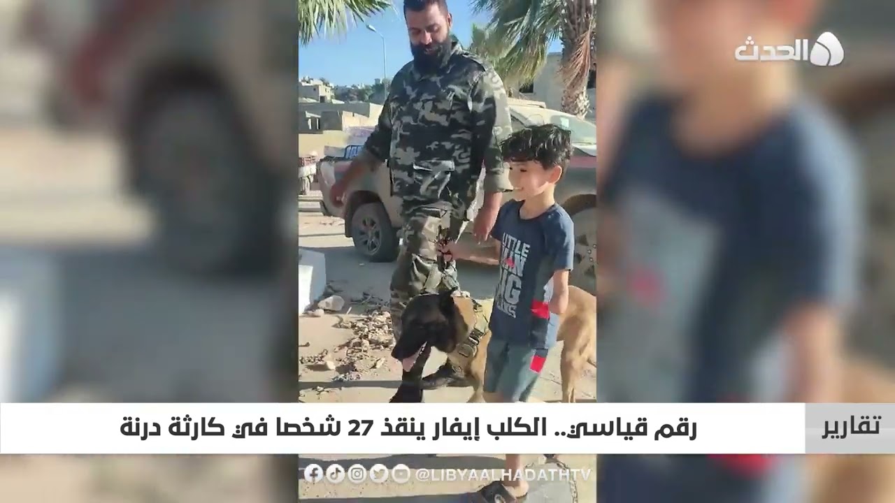 تقرير | رقم قياسي .. الكلب إيفار ينقذ 27 شخصا في كارثة درنة