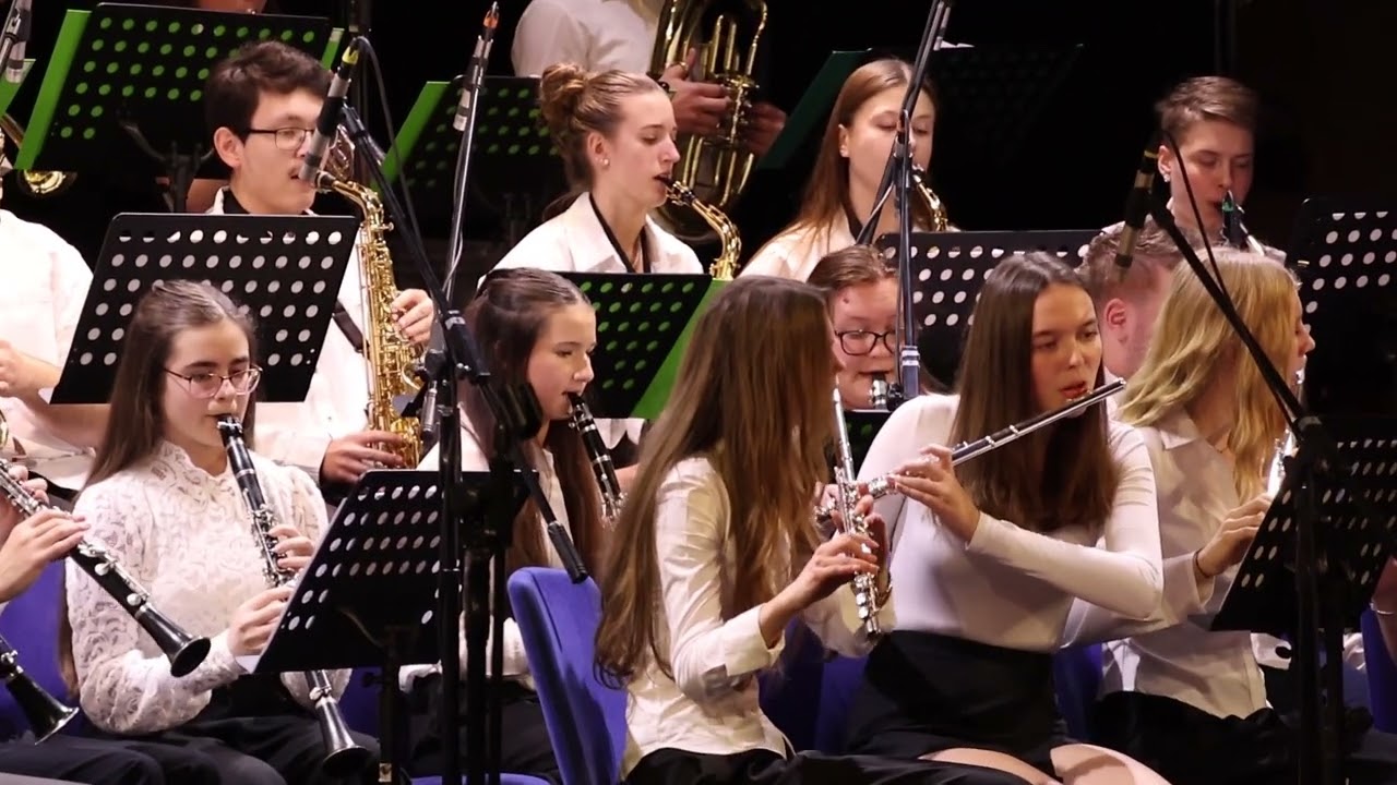 Orchestr ZUŠ Polná - Tambor