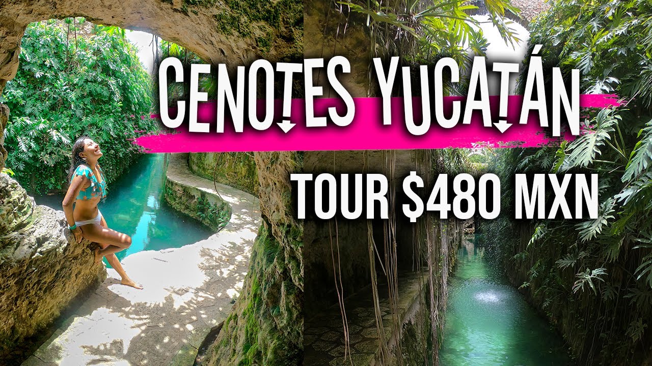 CENOTES YUCATAN + HACIENDA por MENOS DE $480 MXN || Cenotes Hacienda Mucuyché || TIPS DE AHORRO