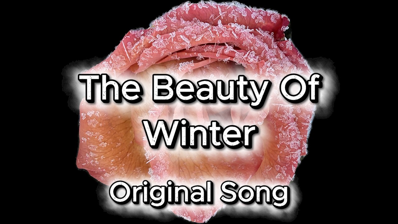 The Beauty Of Winter