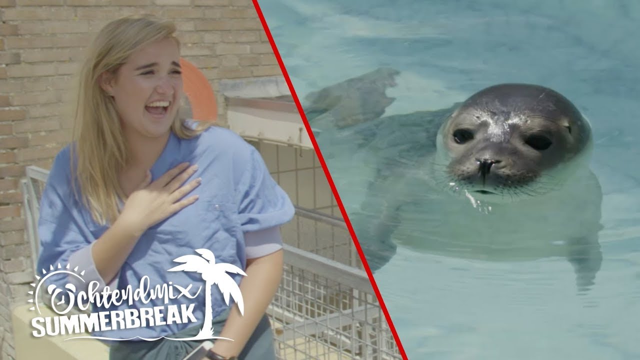 5) MELANIE LATOOY moet HUILEN om ZEEHONDEN IN HOKKEN! | Summerbreak