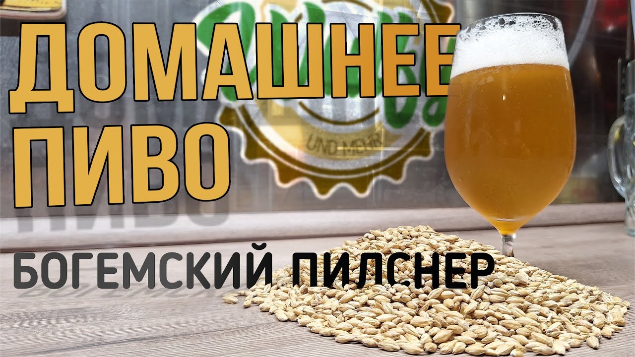 Варю вкусное, домашнее пиво! | Солод Богемский пилснер. Видео для друзей.