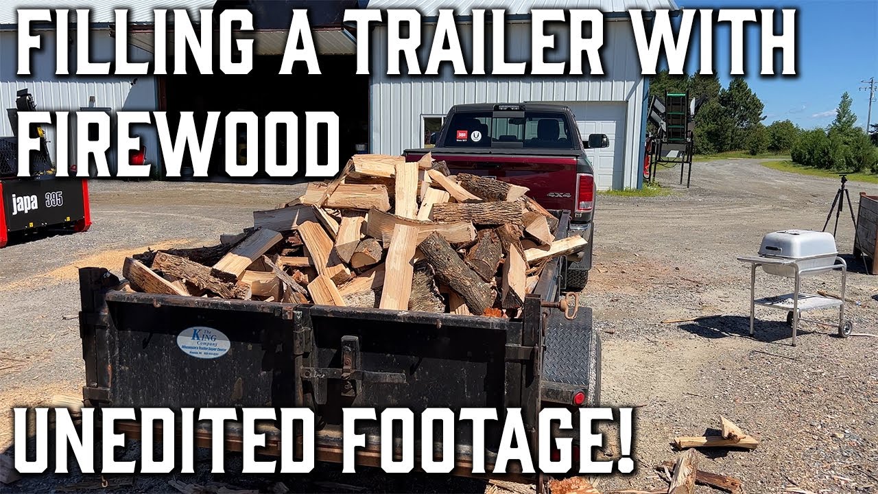 Making Firewood for the Winter, Raw Footage of the Japa 365 Pro