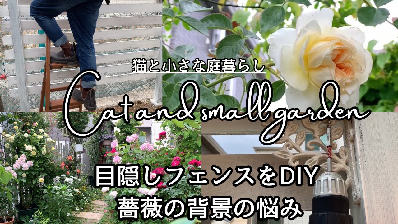 バラの背景に目隠しフェンスをDIY/狭い住宅地での悩み/3月の庭/ガーデンVlog