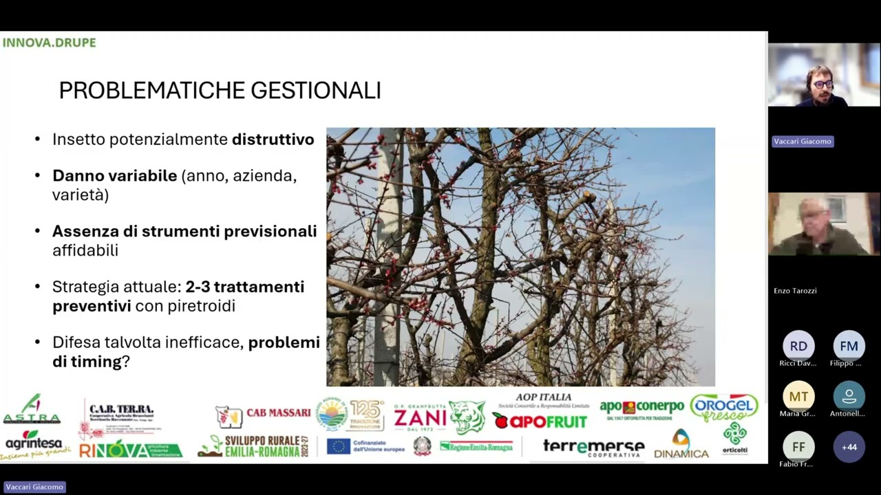 Innova Drupe webinar 4.12.2025_Albicocco: aggiornamenti sulle principali problematiche fitosanitarie