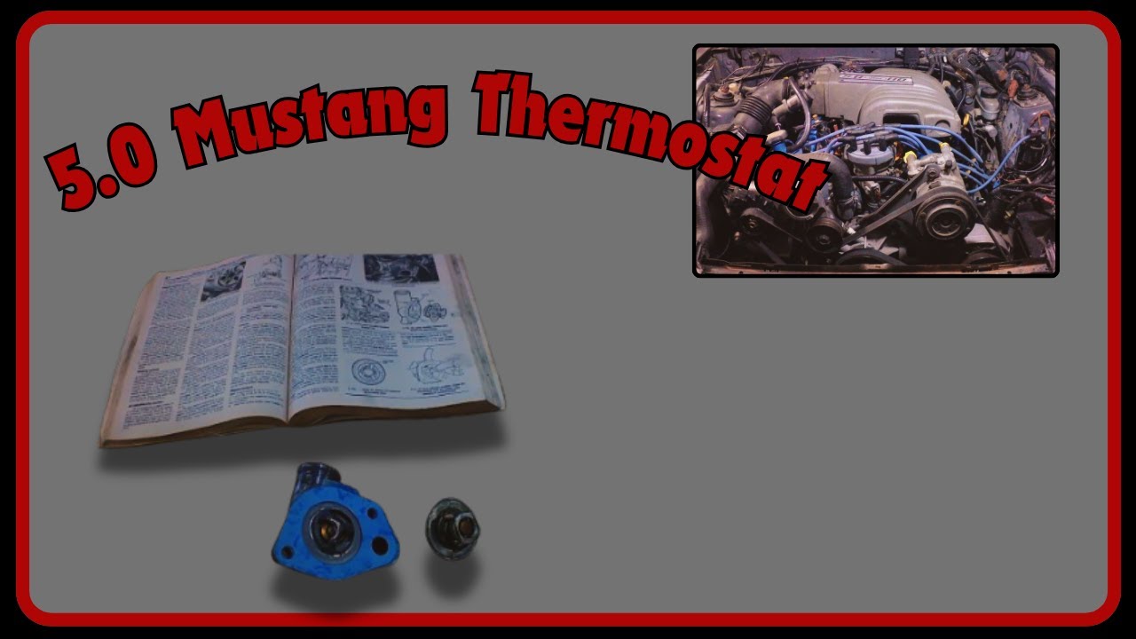 Fox Mustang 5.0 Thermostat Change