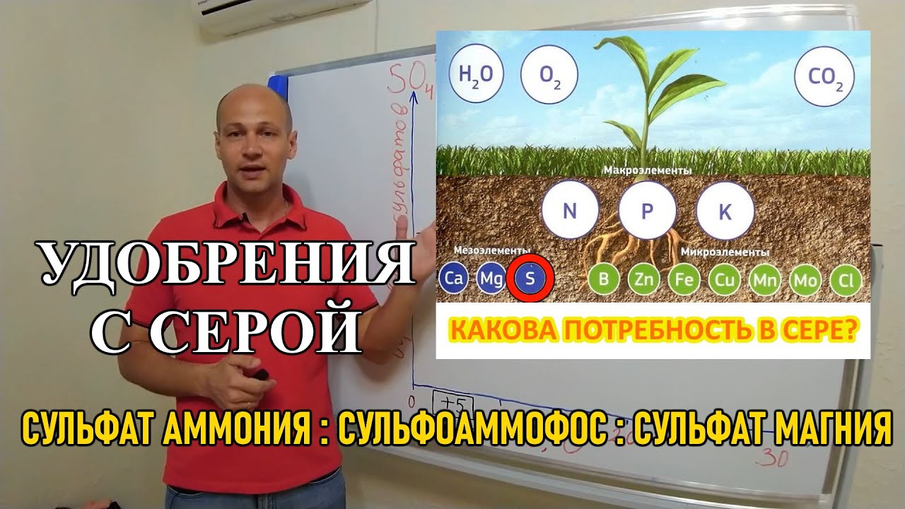 Стратегия применения удобрений с серой: сульфат аммония, сульфоаммофос, сульфат магния?
