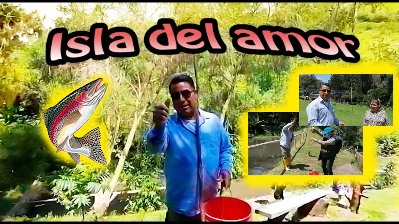 En la Isla del amor ( Pintag)