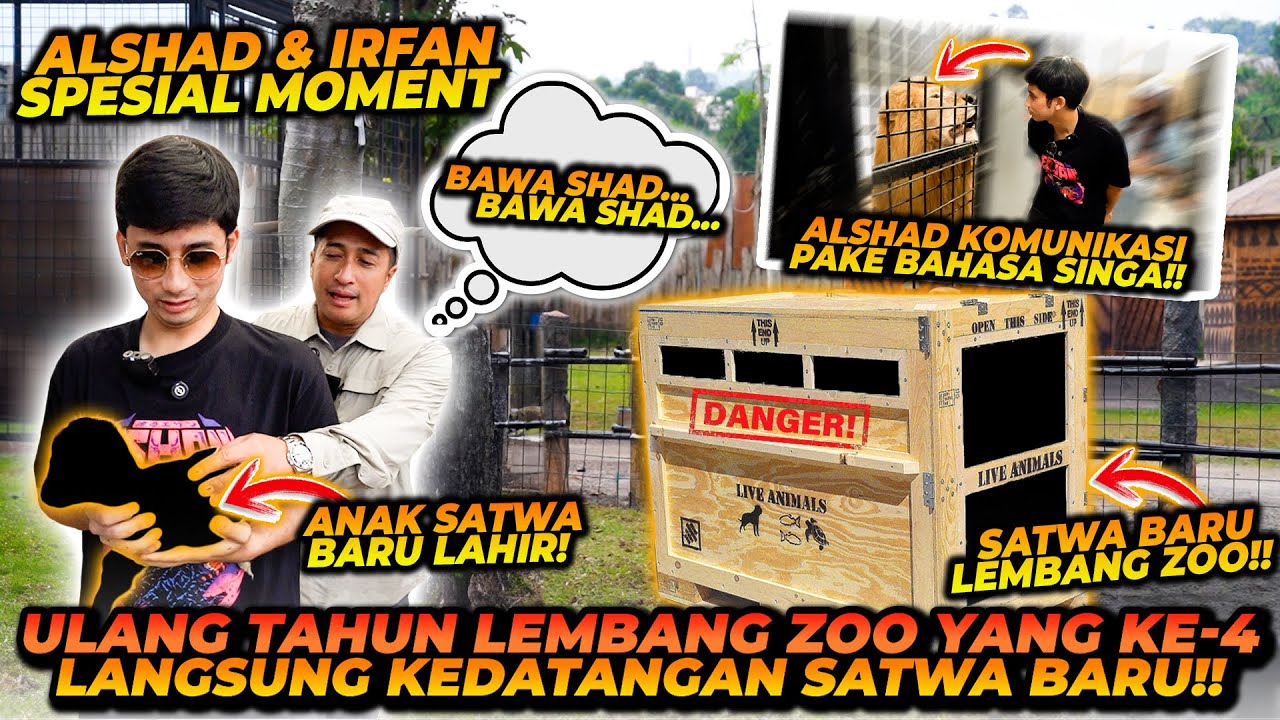 SATWA BARU DI LEMBANG PARK & ZOO ! ADA SATWA BARU LAHIR MAU LANGSUNG DIBAWA PULANG OLEH ALSHAD ?!