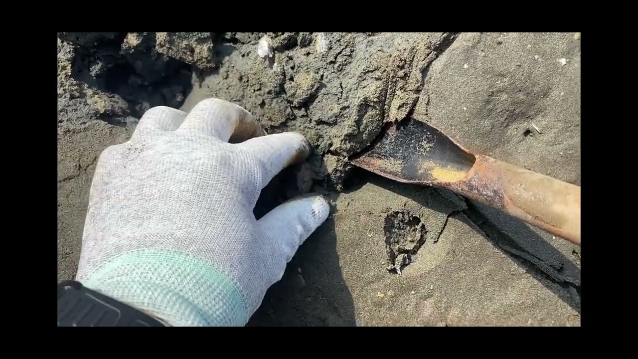 2024年1月7號香山挖赤嘴