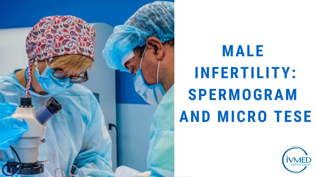 Male infertility: spermogram and micro TESE | IVMED Fertility Centre | #infertility #ivf #microtese