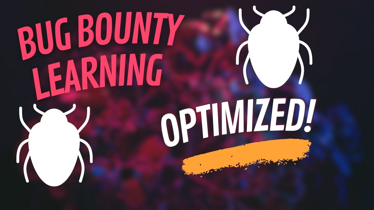 Optimize Your Bug Bounty Learning