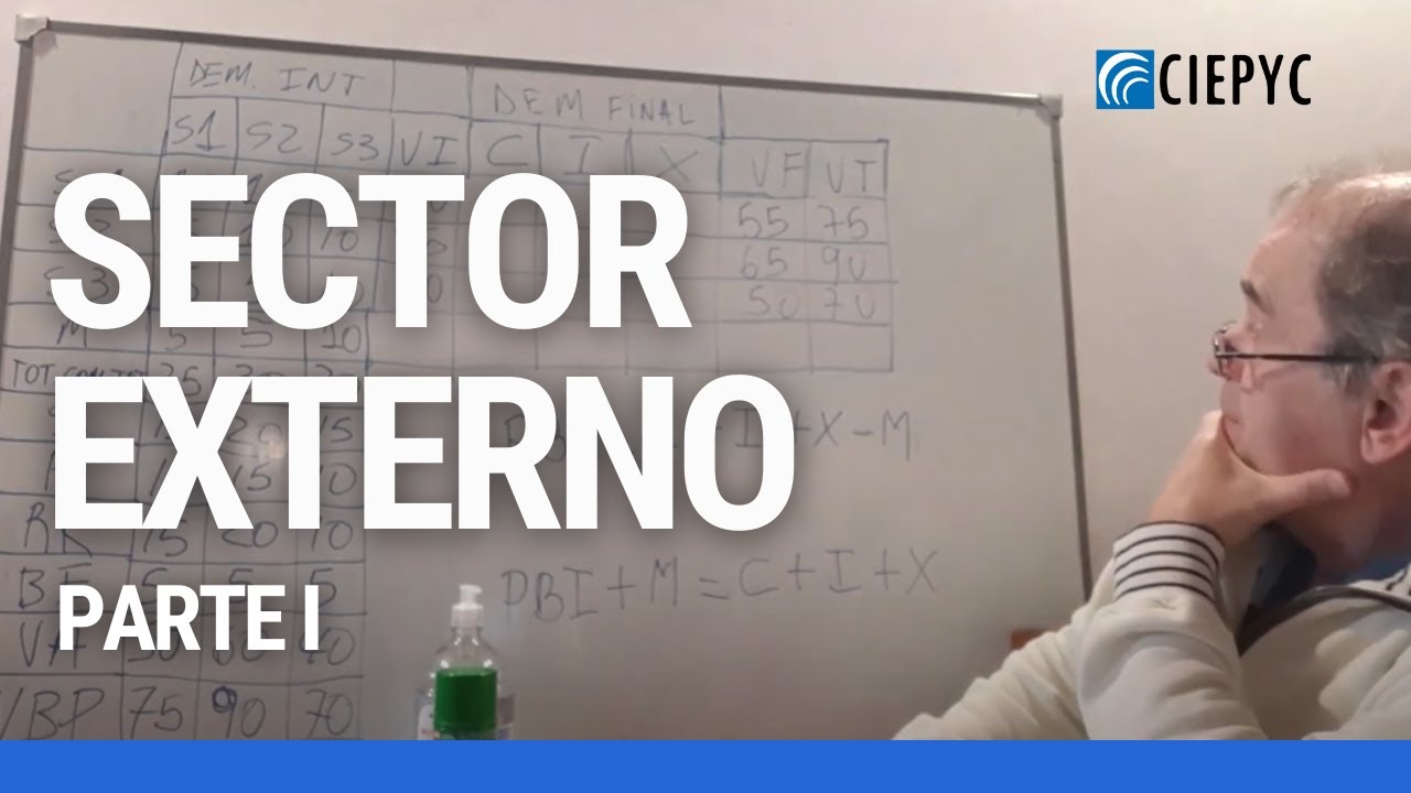 Sector Externo (Parte I) / Introducción a la economía