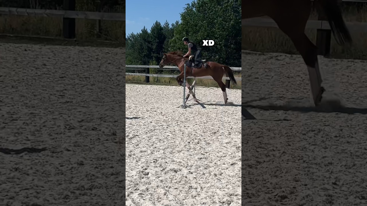 ODWALIŁAM BABOLA XD STAJENNY VLOG 