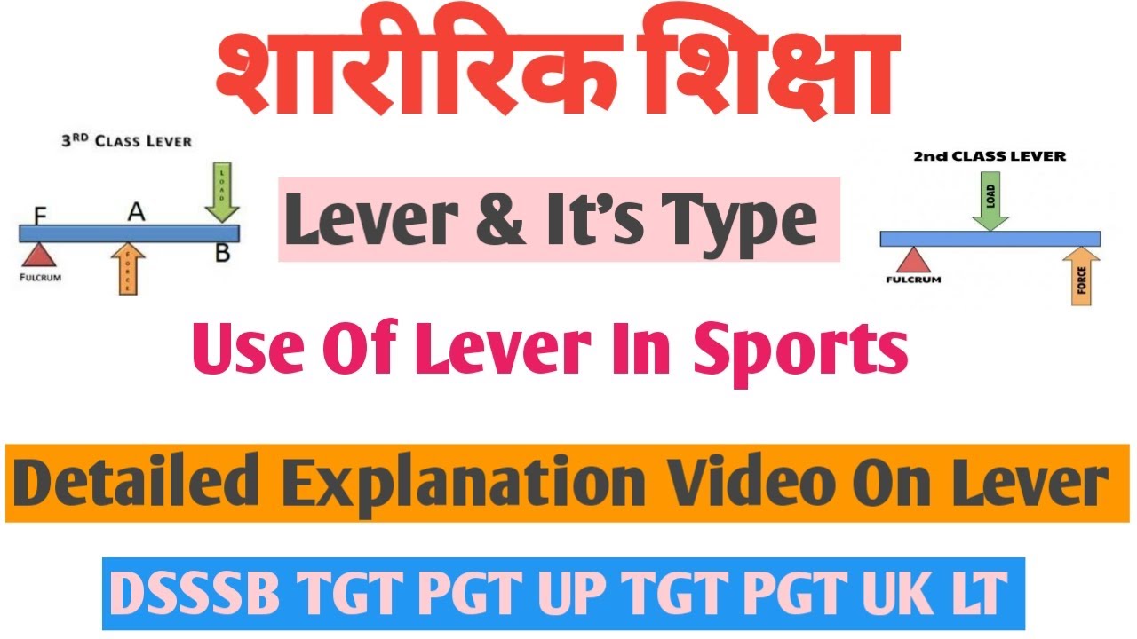 Lever & It's Type | Use Of Lever In Human Body | Mechanical Lever | Use of Lever in Sports