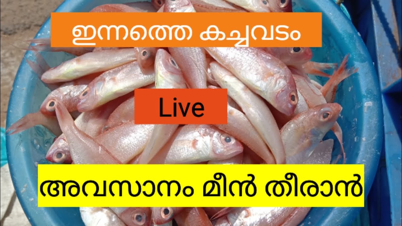 ഇന്നത്തെ കച്ചവടം Live അസാനം മീൻ തീരാൻ....#fishing #harbor #seafood #fish #fishmarket 
