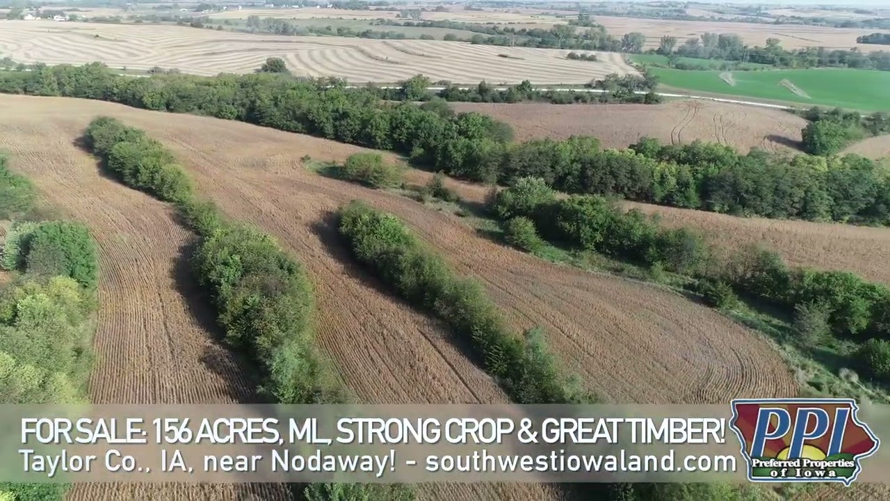 For Sale - 156 Acres, ML, Great Iowa Land with Excellent Timber - Taylor Co., IA!