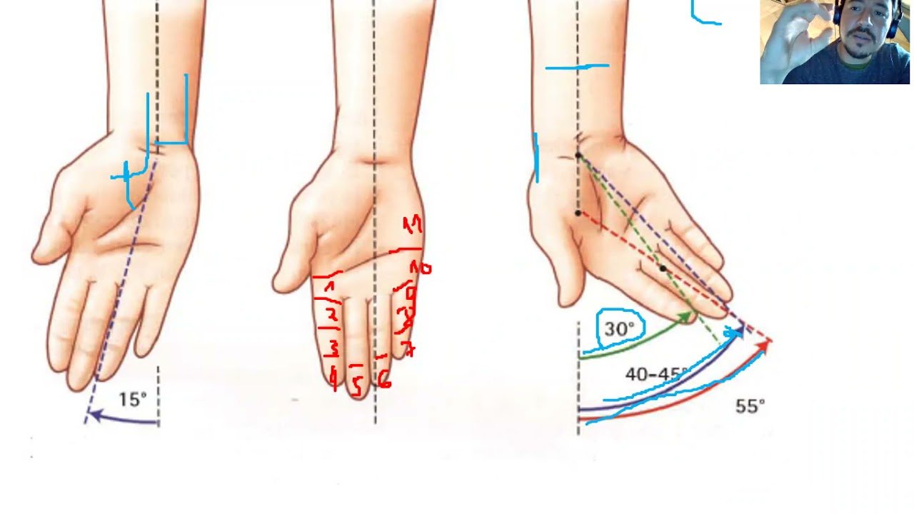 Biomecanica de mano