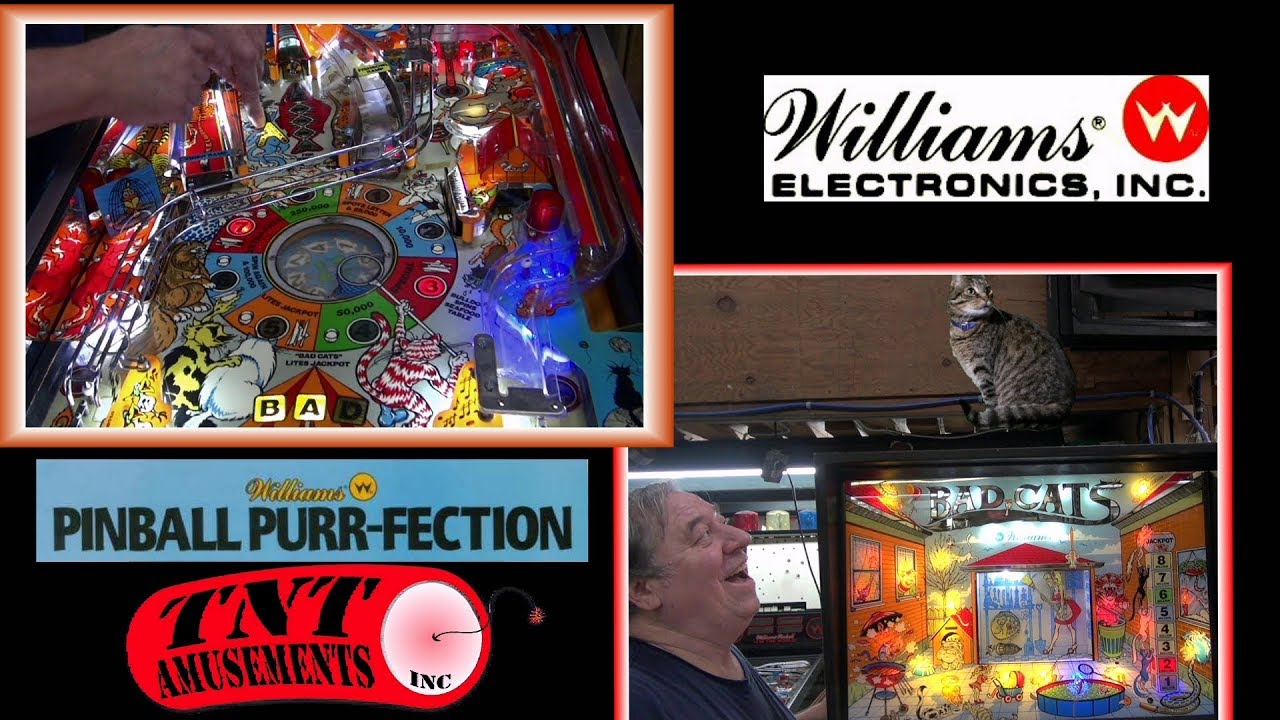 #1409 Williams BAD CATS Pinball Machine and it's SECRETS!  SPEAK EASY Pinball also! TNT Amusements