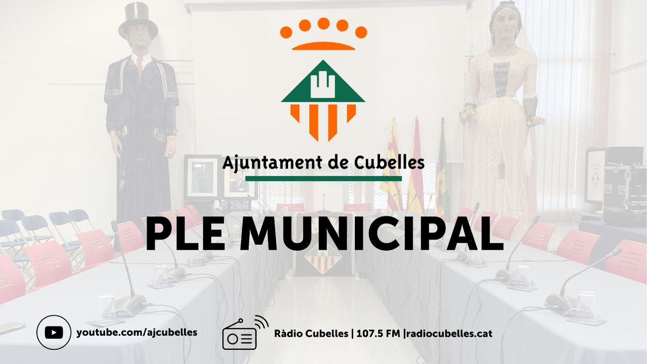 Ple ordinari del 20 de maig de 2025