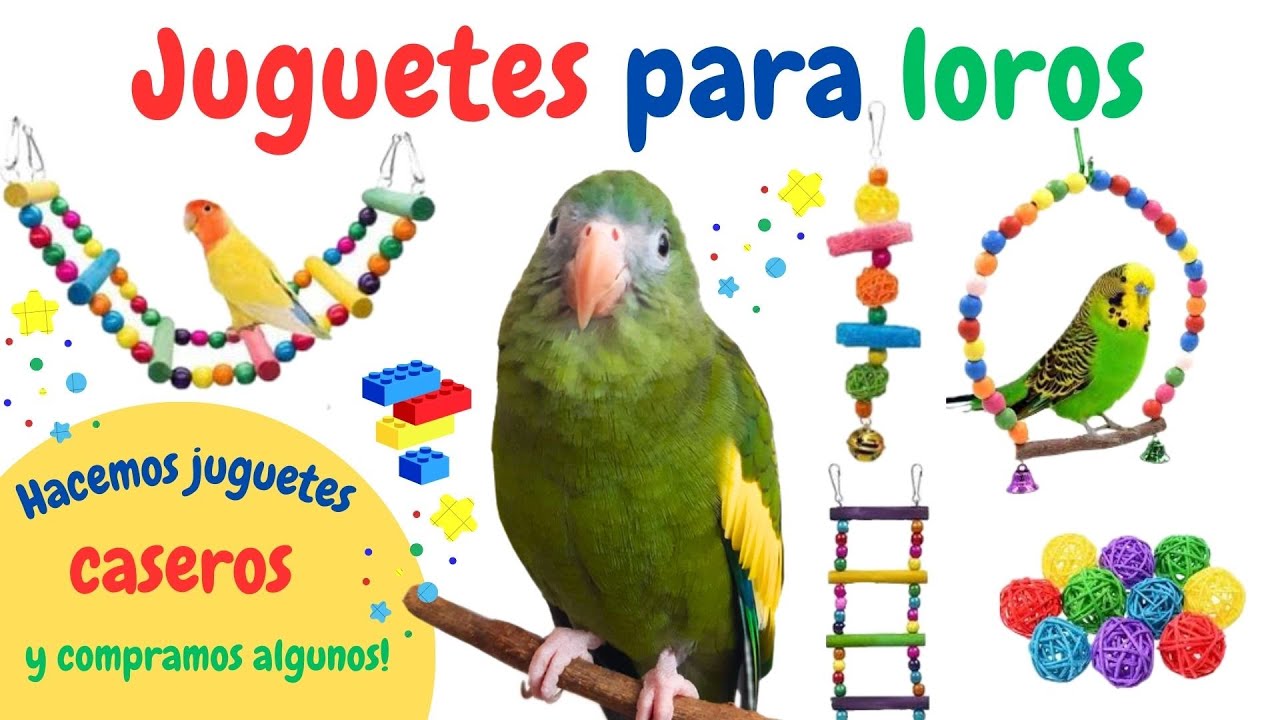 JUGUETES PARA LOROS | Juguetes caseros y de tienda
