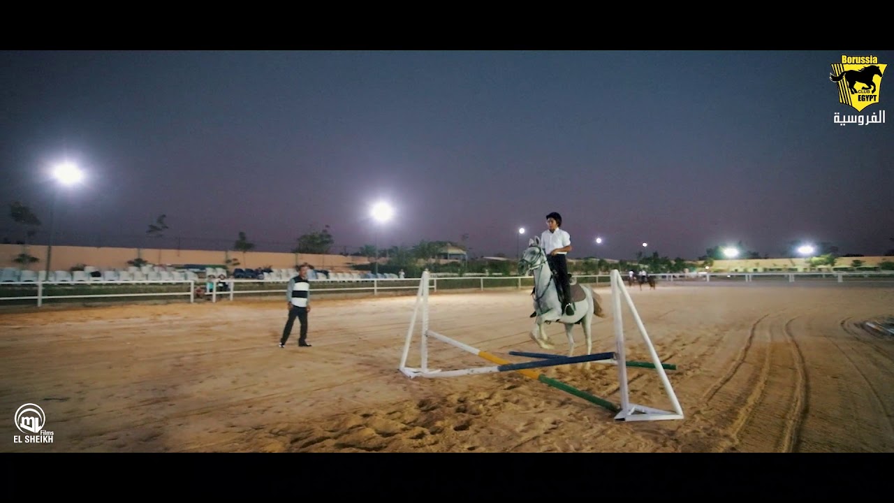 نادي فروسية بروسيا مصر 🐎