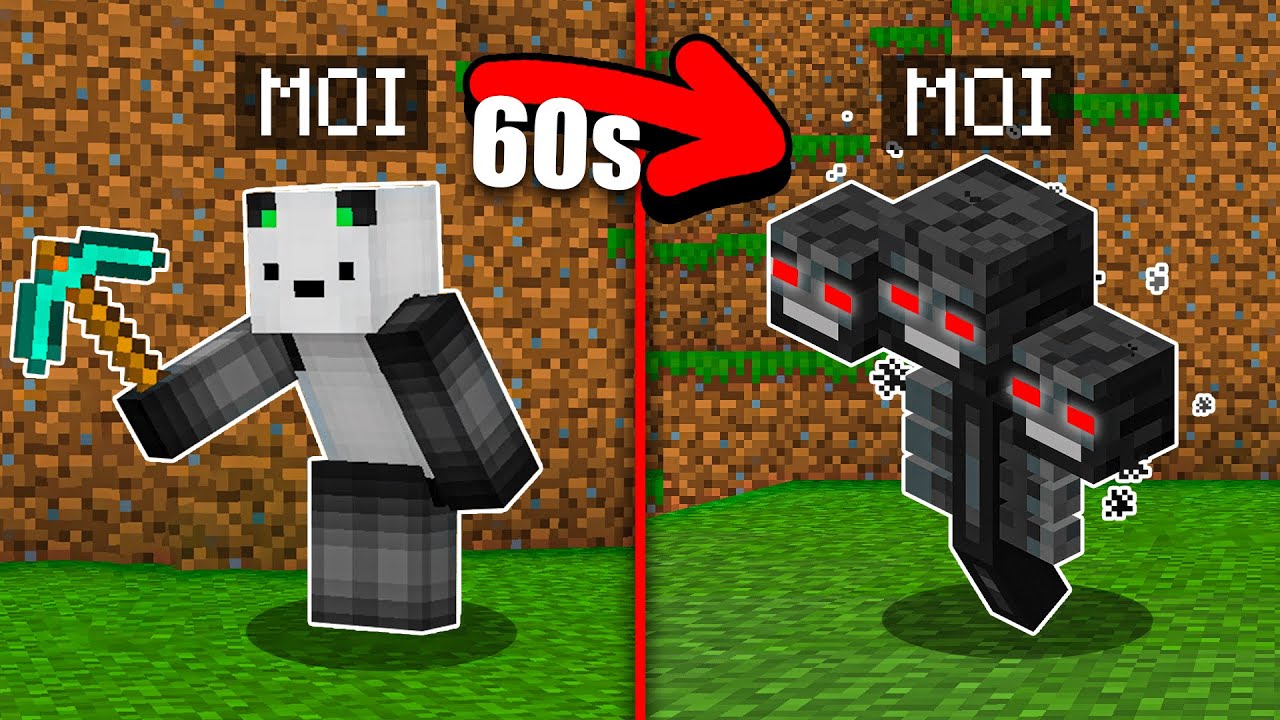 Je dois finir Minecraft, mais toutes les 60 sec je me transforme en un Mob !