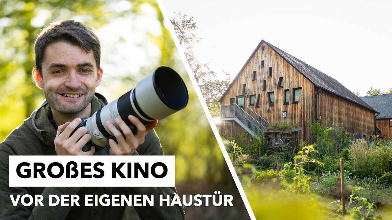 Vor der Haustür beginnt das Wunder – Frühling im Wald