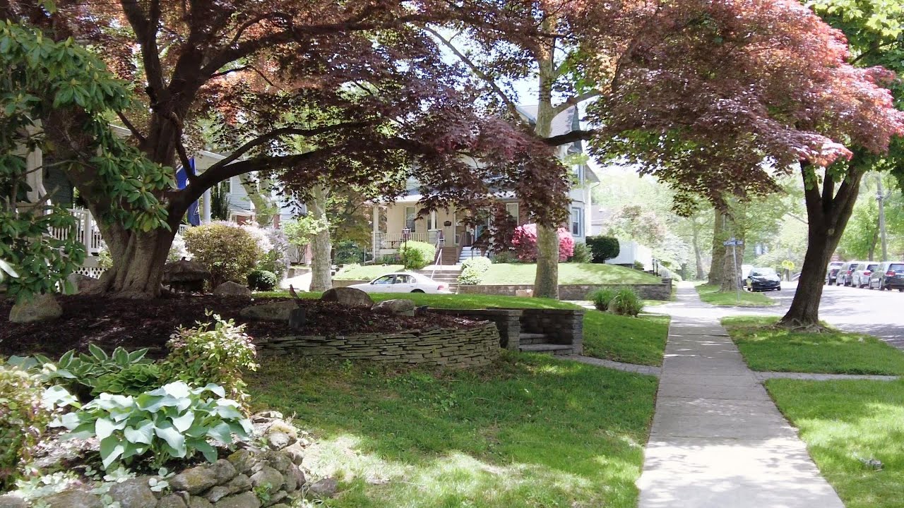 Walk to Buy Milk and Wander through the Charming Lanes of an Old Victorian American Neighborhood