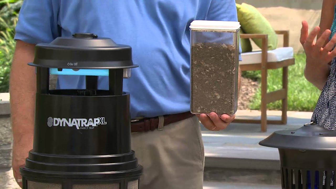 Dynatrap 1 Acre Coverage Insect Trap w/ 2 Extra Bulbs with Amy Stran