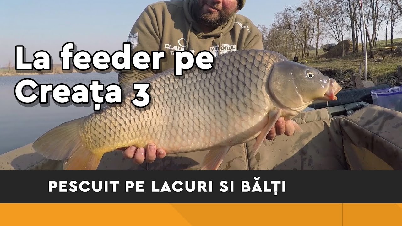 Pescuit la feeder pe balta Creata 3 (Februarie 2019)