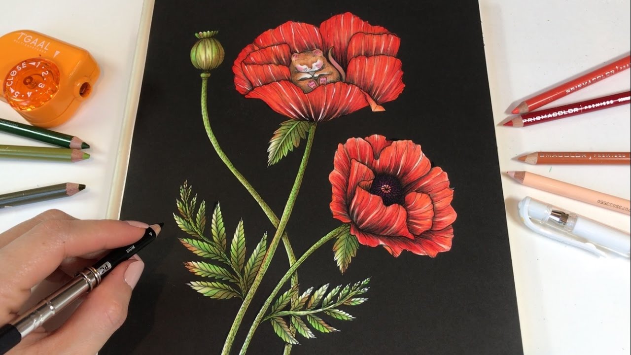 Time-Lapse Coloring "Poppy Love" | Vivi Söker En Vän