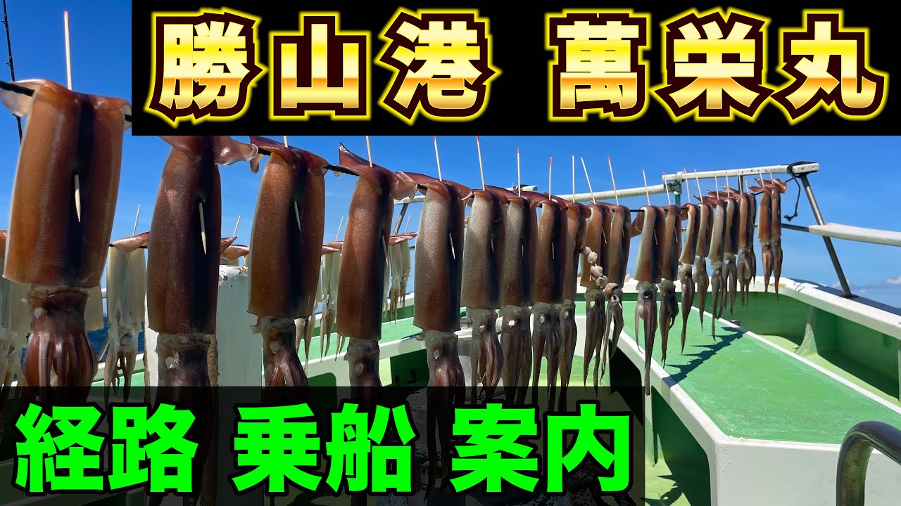 勝山港 萬栄丸 経路 駐車場 乗船 案内